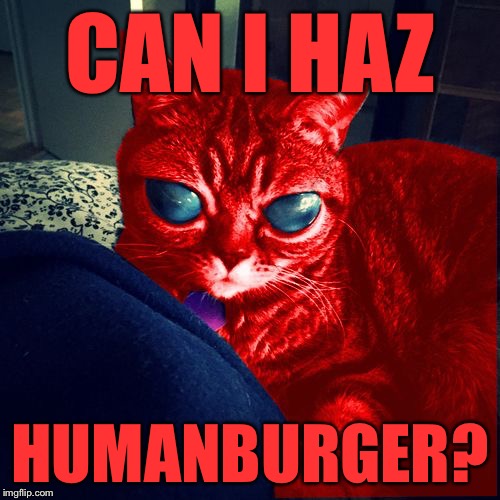RayCat Aliens | CAN I HAZ; HUMANBURGER? | image tagged in raycat aliens | made w/ Imgflip meme maker
