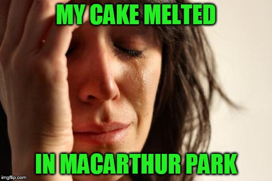 First World Problems Meme | MY CAKE MELTED IN MACARTHUR PARK | image tagged in memes,first world problems | made w/ Imgflip meme maker