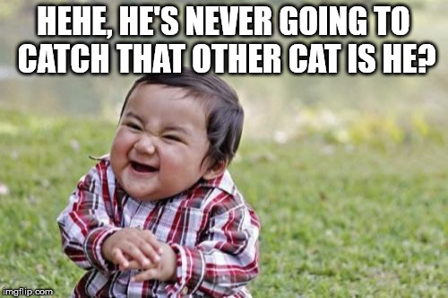 Evil Toddler Meme | HEHE, HE'S NEVER GOING TO CATCH THAT OTHER CAT IS HE? | image tagged in memes,evil toddler | made w/ Imgflip meme maker