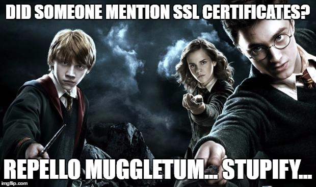 Harry Potter Wands | DID SOMEONE MENTION SSL CERTIFICATES? REPELLO MUGGLETUM... STUPIFY... | image tagged in harry potter wands | made w/ Imgflip meme maker