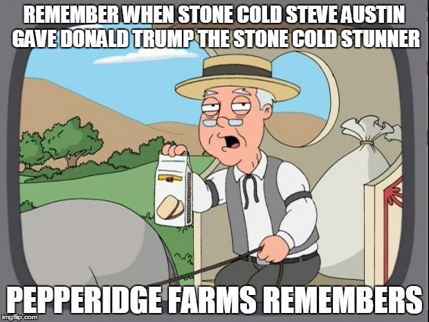 PEPPERIDGE FARMS REMEMBERS | REMEMBER WHEN STONE COLD STEVE AUSTIN GAVE DONALD TRUMP THE STONE COLD STUNNER | image tagged in pepperidge farms remembers | made w/ Imgflip meme maker