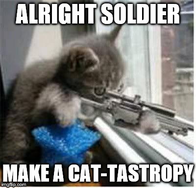 Cats of Duty (Cod) | ALRIGHT SOLDIER; MAKE A CAT-TASTROPY | image tagged in cats with guns | made w/ Imgflip meme maker
