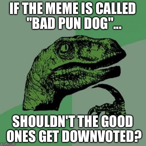 Philosoraptor | IF THE MEME IS CALLED "BAD PUN DOG"... SHOULDN'T THE GOOD ONES GET DOWNVOTED? | image tagged in memes,philosoraptor | made w/ Imgflip meme maker