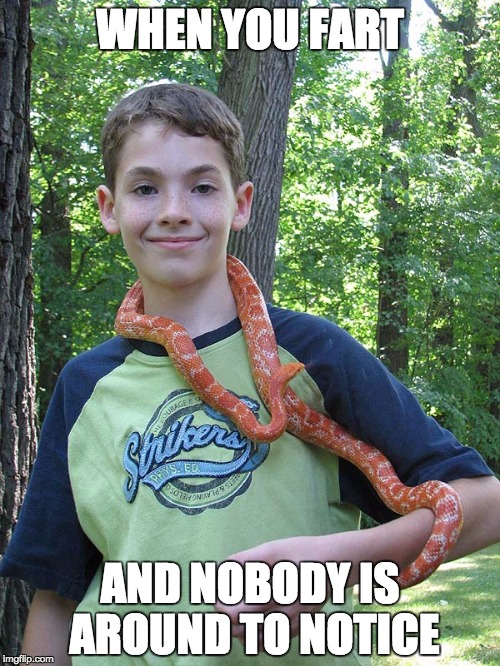 Derpy Snake Boy | WHEN YOU FART; AND NOBODY IS AROUND TO NOTICE | image tagged in farts,snake | made w/ Imgflip meme maker