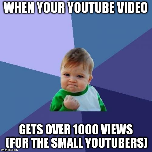 Success Kid | WHEN YOUR YOUTUBE VIDEO; GETS OVER 1000 VIEWS (FOR THE SMALL YOUTUBERS) | image tagged in memes,success kid | made w/ Imgflip meme maker
