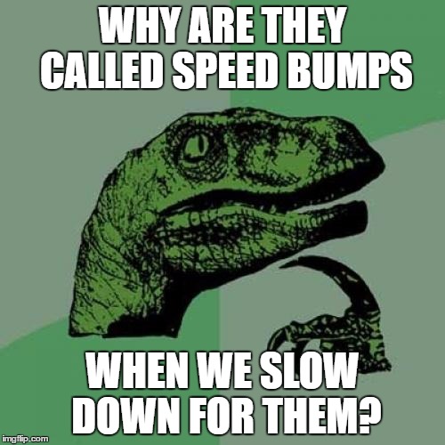 Philosoraptor | WHY ARE THEY CALLED SPEED BUMPS; WHEN WE SLOW DOWN FOR THEM? | image tagged in memes,philosoraptor | made w/ Imgflip meme maker