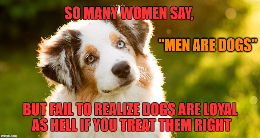 Relationship Advice | SO MANY WOMEN SAY, "MEN ARE DOGS"; BUT FAIL TO REALIZE DOGS ARE LOYAL AS HELL IF YOU TREAT THEM RIGHT | image tagged in relationship advice,relationships,loyalty,men and women,dogs,dogs an cats | made w/ Imgflip meme maker