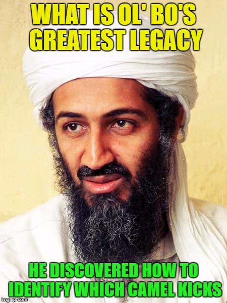 F S Bin Laden | WHAT IS OL' BO'S GREATEST LEGACY; HE DISCOVERED HOW TO IDENTIFY WHICH CAMEL KICKS | image tagged in osama bin laden,memes,camel,buggery,jo | made w/ Imgflip meme maker