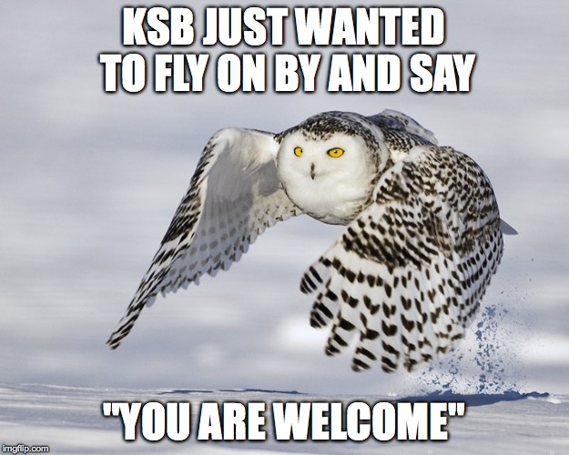 KSB JUST WANTED TO FLY ON BY AND SAY; "YOU ARE WELCOME" | made w/ Imgflip meme maker