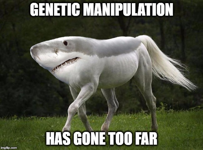 Shorse. | GENETIC MANIPULATION; HAS GONE TOO FAR | image tagged in memes,shorse,funny | made w/ Imgflip meme maker