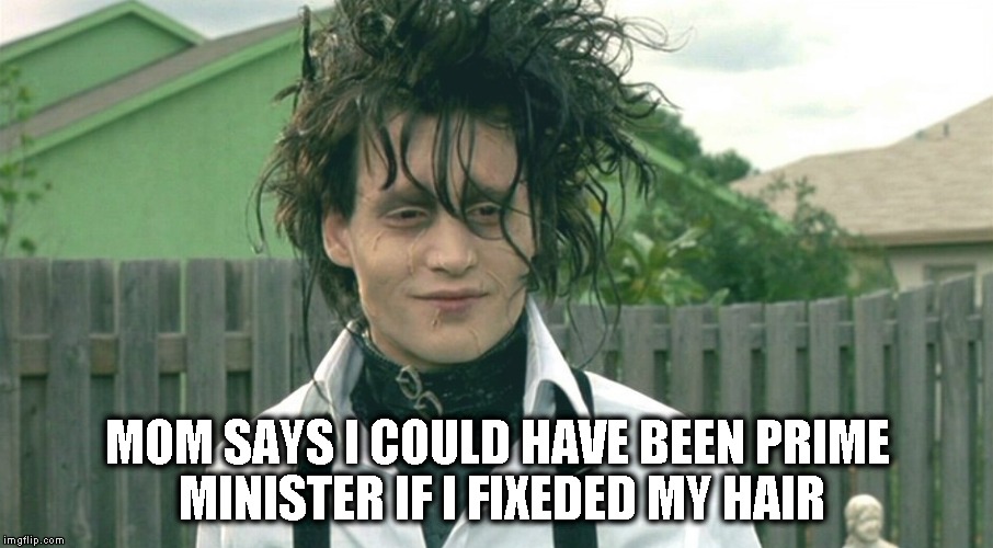 dumby  | MOM SAYS I COULD HAVE BEEN PRIME MINISTER IF I FIXEDED MY HAIR | image tagged in funny,humor | made w/ Imgflip meme maker