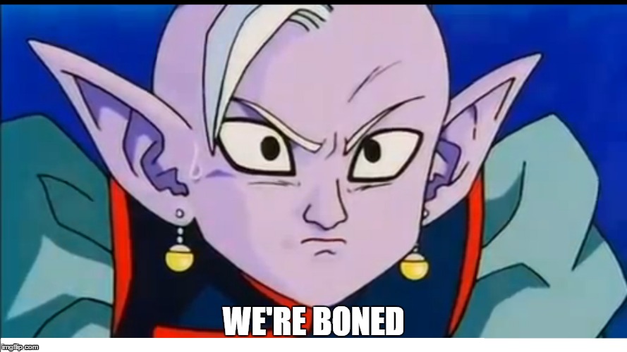 WE'RE BONED | image tagged in dragon ball z | made w/ Imgflip meme maker