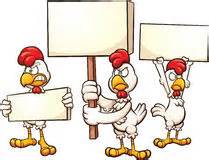 High Quality Chicken protesters  Blank Meme Template