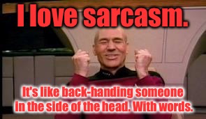 Happy Picard | I love sarcasm. It's like back-handing someone in the side of the head. With words. | image tagged in happy picard,memes,funny memes | made w/ Imgflip meme maker