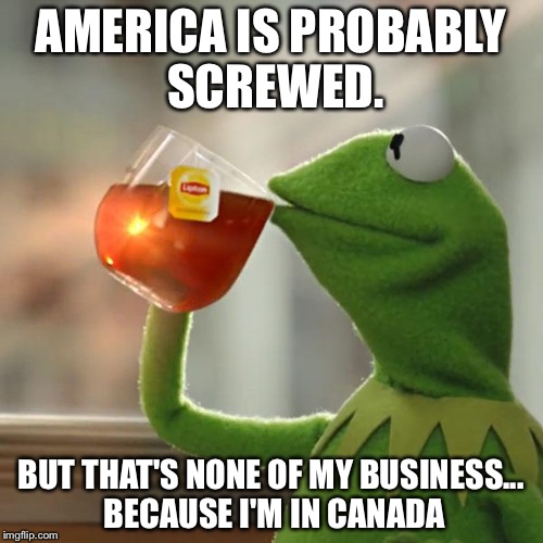 But That's None Of My Business Meme | AMERICA IS PROBABLY SCREWED. BUT THAT'S NONE OF MY BUSINESS... BECAUSE I'M IN CANADA | image tagged in memes,but thats none of my business,kermit the frog | made w/ Imgflip meme maker