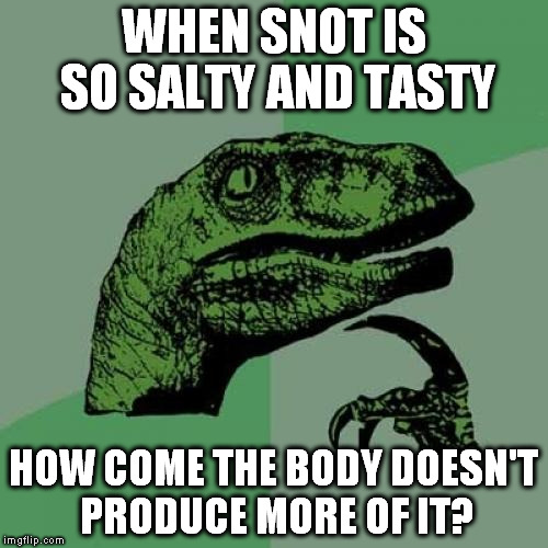 Yummy in the tummy | WHEN SNOT IS SO SALTY AND TASTY; HOW COME THE BODY DOESN'T PRODUCE MORE OF IT? | image tagged in memes,philosoraptor,snot,funny | made w/ Imgflip meme maker