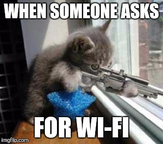 CatSniper | WHEN SOMEONE ASKS; FOR WI-FI | image tagged in catsniper | made w/ Imgflip meme maker
