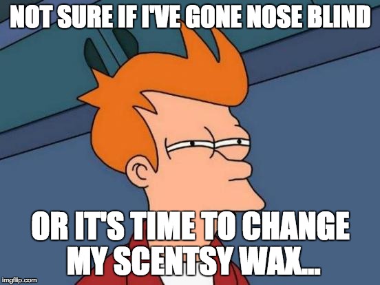 Futurama Fry Meme | NOT SURE IF I'VE GONE NOSE BLIND; OR IT'S TIME TO CHANGE MY SCENTSY WAX... | image tagged in memes,futurama fry | made w/ Imgflip meme maker