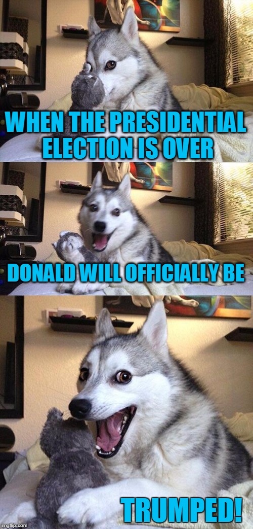And Hillary will be holding the winning cards! | WHEN THE PRESIDENTIAL ELECTION IS OVER; DONALD WILL OFFICIALLY BE; TRUMPED! | image tagged in memes,bad pun dog | made w/ Imgflip meme maker