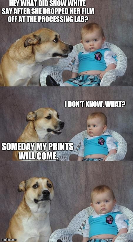 Bad joke dog | HEY WHAT DID SNOW WHITE SAY AFTER SHE DROPPED HER FILM OFF AT THE PROCESSING LAB? I DON'T KNOW. WHAT? SOMEDAY MY PRINTS WILL COME. | image tagged in bad joke dog | made w/ Imgflip meme maker
