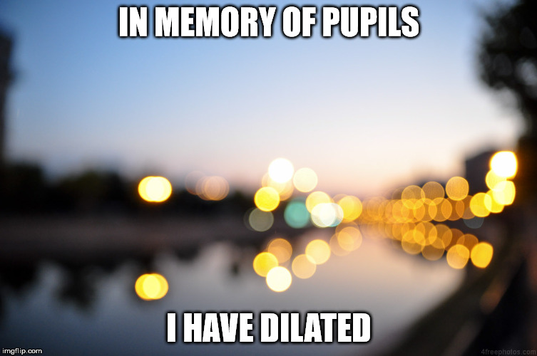 optometrist | IN MEMORY OF PUPILS; I HAVE DILATED | image tagged in optometrist fuzzy | made w/ Imgflip meme maker