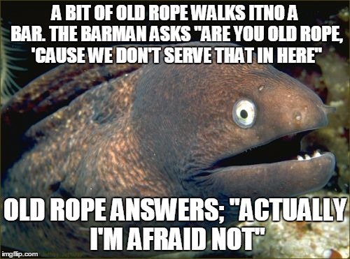 Upvotes for Old Rope | A BIT OF OLD ROPE WALKS ITNO A BAR. THE BARMAN ASKS "ARE YOU OLD ROPE, 'CAUSE WE DON'T SERVE THAT IN HERE"; OLD ROPE ANSWERS; "ACTUALLY I'M AFRAID NOT" | image tagged in memes,bad joke eel,a freyed knot | made w/ Imgflip meme maker