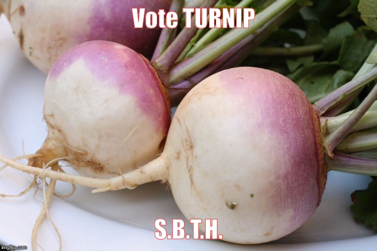 Vote TURNIP; S.B.T.H. | image tagged in hillary clinton | made w/ Imgflip meme maker