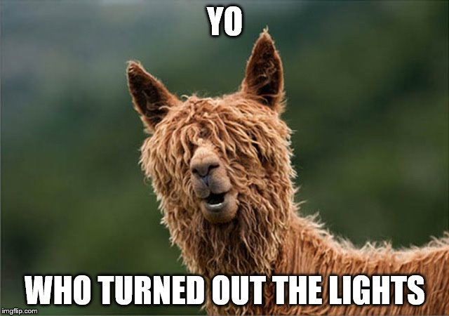 Alpaca Hair | YO; WHO TURNED OUT THE LIGHTS | image tagged in alpaca,hair | made w/ Imgflip meme maker
