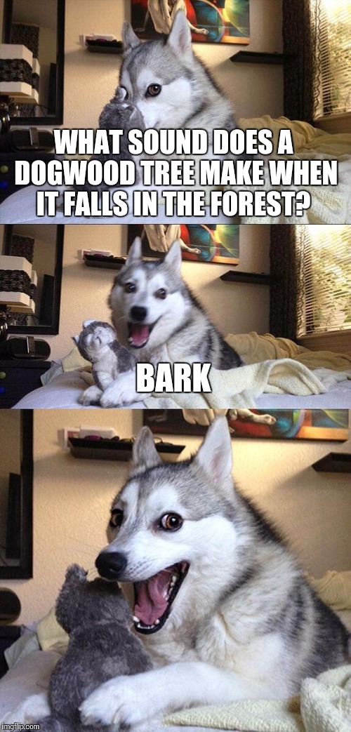 The joke goes two ways | WHAT SOUND DOES A DOGWOOD TREE MAKE WHEN IT FALLS IN THE FOREST? BARK | image tagged in memes,bad pun dog | made w/ Imgflip meme maker