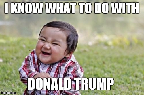 Evil Toddler | I KNOW WHAT TO DO WITH; DONALD TRUMP | image tagged in memes,evil toddler | made w/ Imgflip meme maker