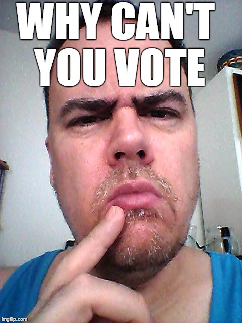 puzzled | WHY CAN'T YOU VOTE | image tagged in puzzled | made w/ Imgflip meme maker
