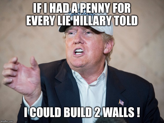 Donald Trump Can't Answer | IF I HAD A PENNY FOR EVERY LIE HILLARY TOLD; I COULD BUILD 2 WALLS ! | image tagged in donald trump can't answer | made w/ Imgflip meme maker