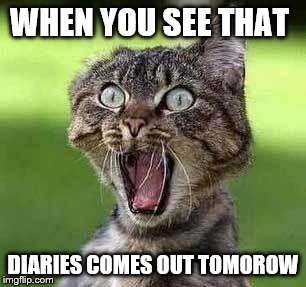 Screaming cat | WHEN YOU SEE THAT; DIARIES COMES OUT TOMOROW | image tagged in screaming cat | made w/ Imgflip meme maker