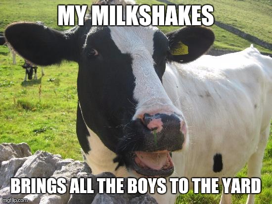 Vanilla, Strawberry or Chocolate? | MY MILKSHAKES; BRINGS ALL THE BOYS TO THE YARD | image tagged in funny memes | made w/ Imgflip meme maker