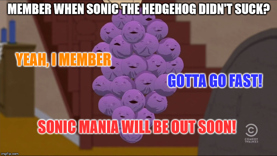 Member Berries Meme | MEMBER WHEN SONIC THE HEDGEHOG DIDN'T SUCK? YEAH, I MEMBER; GOTTA GO FAST! SONIC MANIA WILL BE OUT SOON! | image tagged in memes,member berries | made w/ Imgflip meme maker