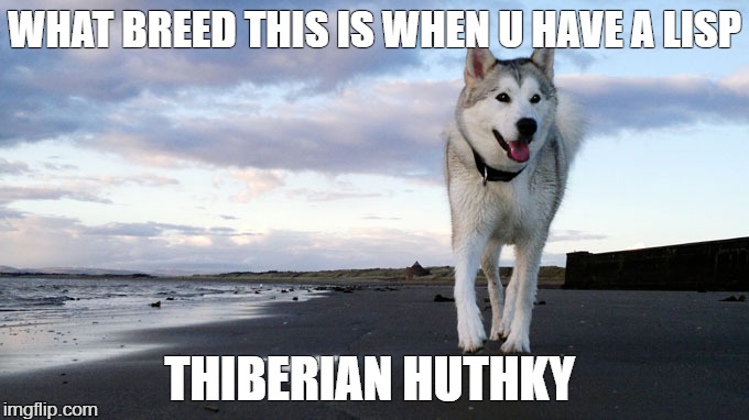 WHAT BREED THIS IS WHEN U HAVE A LISP; THIBERIAN HUTHKY | image tagged in funny | made w/ Imgflip meme maker