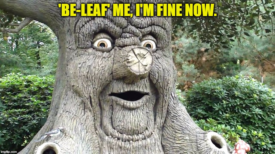 'BE-LEAF' ME, I'M FINE NOW. | made w/ Imgflip meme maker