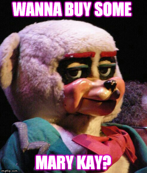 Unimpressed Bear | WANNA BUY SOME; MARY KAY? | image tagged in unimpressed bear | made w/ Imgflip meme maker