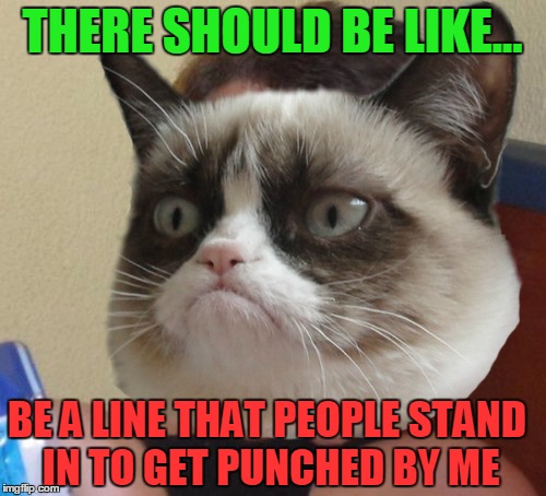 THERE SHOULD BE LIKE... BE A LINE THAT PEOPLE STAND IN TO GET PUNCHED BY ME | made w/ Imgflip meme maker