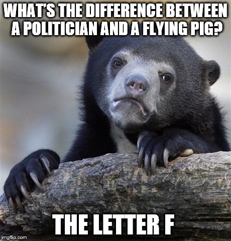 Confession Bear | WHAT’S THE DIFFERENCE BETWEEN A POLITICIAN AND A FLYING PIG? THE LETTER F | image tagged in memes,confession bear | made w/ Imgflip meme maker