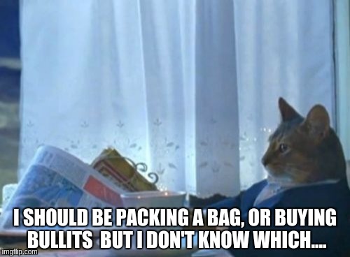 I Should Buy A Boat Cat | I SHOULD BE PACKING A BAG, OR BUYING BULLITS  BUT I DON'T KNOW WHICH.... | image tagged in memes,i should buy a boat cat | made w/ Imgflip meme maker