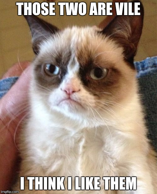 Grumpy Cat Meme | THOSE TWO ARE VILE I THINK I LIKE THEM | image tagged in memes,grumpy cat | made w/ Imgflip meme maker