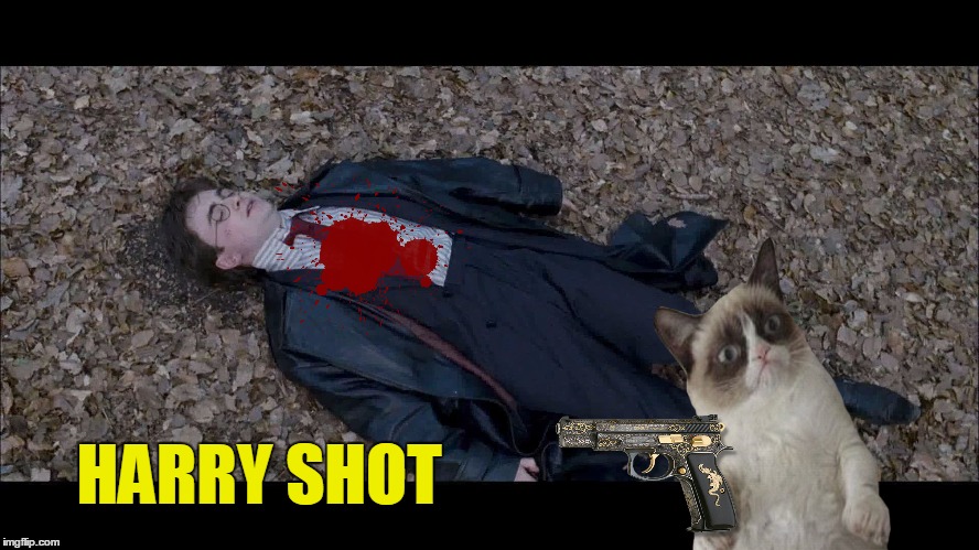 HARRY SHOT | made w/ Imgflip meme maker