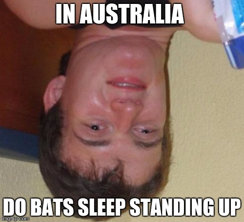 10 Guy Meme | IN AUSTRALIA DO BATS SLEEP STANDING UP | image tagged in memes,10 guy | made w/ Imgflip meme maker