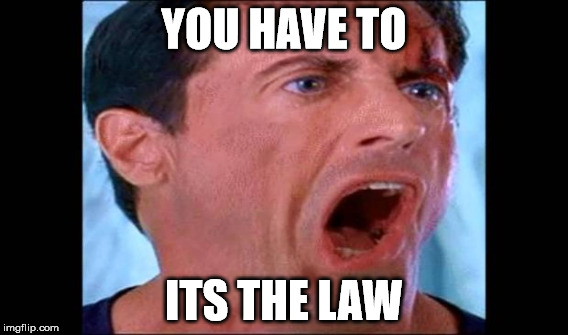 YOU HAVE TO ITS THE LAW | made w/ Imgflip meme maker
