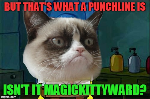 BUT THAT'S WHAT A PUNCHLINE IS ISN'T IT MAGICKITTYWARD? | made w/ Imgflip meme maker