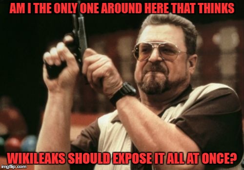 Am I The Only One Around Here | AM I THE ONLY ONE AROUND HERE THAT THINKS; WIKILEAKS SHOULD EXPOSE IT ALL AT ONCE? | image tagged in memes,am i the only one around here | made w/ Imgflip meme maker