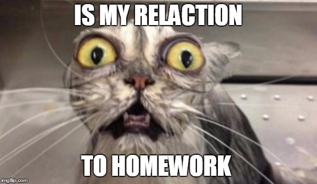 Crazy Cat | IS MY RELACTION; TO HOMEWORK | image tagged in crazy cat | made w/ Imgflip meme maker
