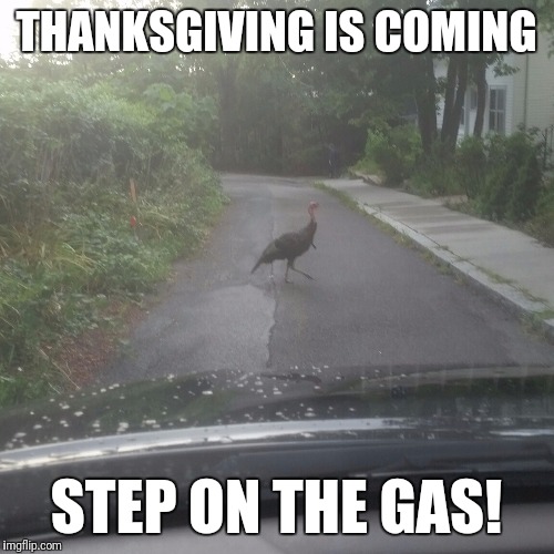 Thanksgiving dinner | THANKSGIVING IS COMING; STEP ON THE GAS! | image tagged in thanksgiving | made w/ Imgflip meme maker