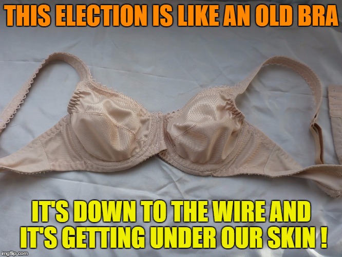 Yeah...It's Like That ! | THIS ELECTION IS LIKE AN OLD BRA; IT'S DOWN TO THE WIRE AND IT'S GETTING UNDER OUR SKIN ! | image tagged in election 2016,bra | made w/ Imgflip meme maker